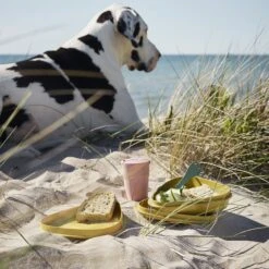 Light My Fire Eat´n Drink Kit BIO For 4 Nature -Roam Ready 2f9ba20e0235df98918201b6cf544baa 1