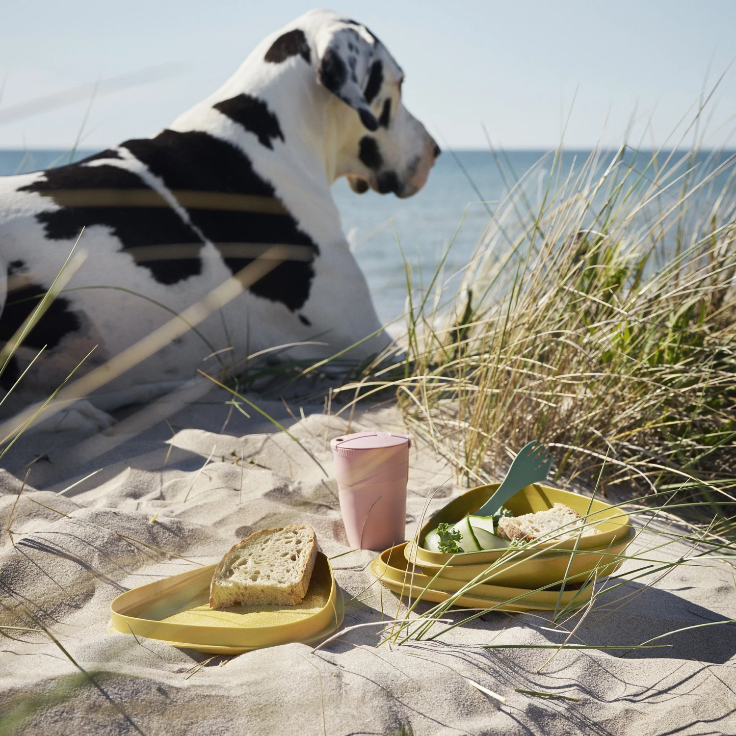 Light My Fire LunchKit BIO - Dustypink 5 Light My Fire LunchKit BIO - Dustypink - Image 3