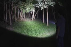 Fenix LD12 2017 Edition LED Flashlight 320 Lumens 10 Fenix LD12 2017 Edition LED Flashlight 320 Lumens -Roam Ready Fenix LD12 Flashlight light beam