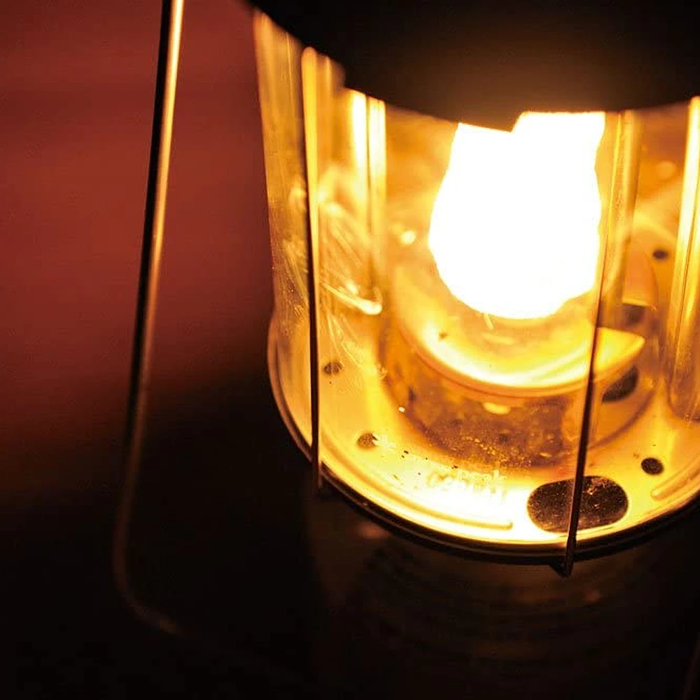 Roam Ready -Roam Ready GL 300A 3