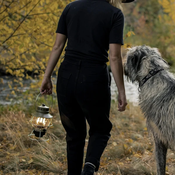 Barebones Railroad Lantern Olive Drab 8 Barebones Railroad Lantern Olive Drab - Image 6