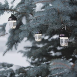 Barebones Beacon Kraft Packaging - Gray -Roam Ready LIV 297 4 d20544c2 d96d 4c56 b090 6098c7b6076b