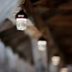 Barebones Beacon Kraft Packaging - Olive -Roam Ready LIV 297 5